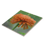 Carreau Zazzled Zinnia (Côté)