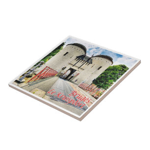 Carreau zBE044 BRUGES Le Kruispoort Belgique,