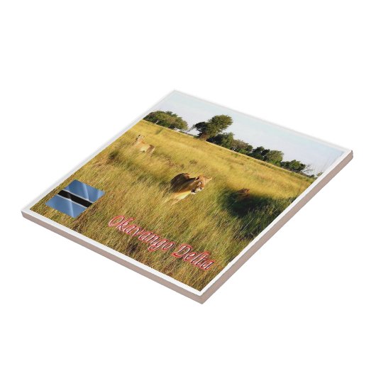 Carreau zBW008 Delta OKAVANGO, Lion, Afrique, (Côté)