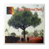 Carreau zCM007 WASA N.P. Camerron, Afrique, (Devant)