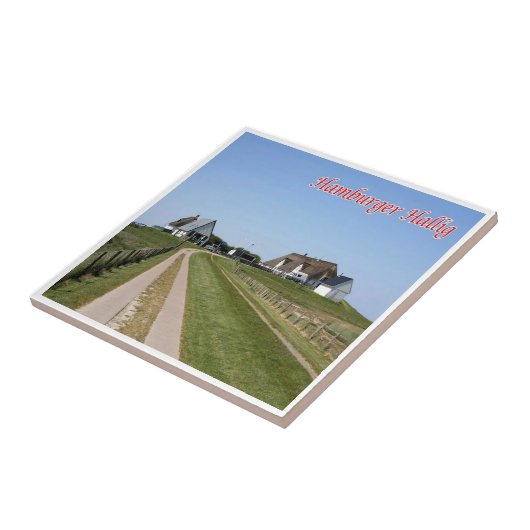 Carreau zDE085 HAMBURGER HOLM Îles frisonnes, (Côté)