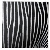 Carreau Zebra Skin (Devant)