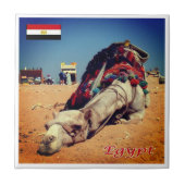 Carreau zEG021 EGYPT, Camel, Afrique, (Devant)