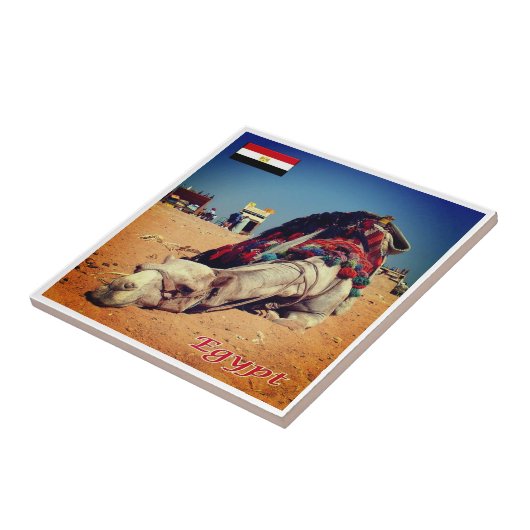 Carreau zEG021 EGYPT, Camel, Afrique, (Côté)