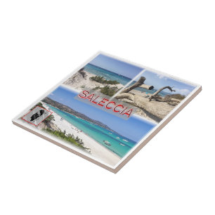 Carreau zFR006 SALECCIA PLAGE, Corse,