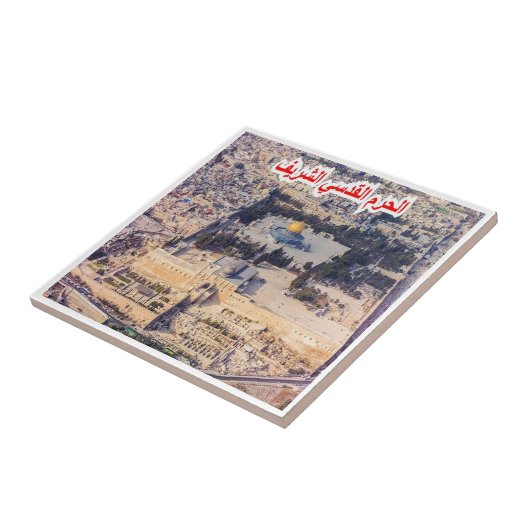 Carreau zIL008 TEMPLE MOUNT, Israël, Moyen-Orient, (Côté)