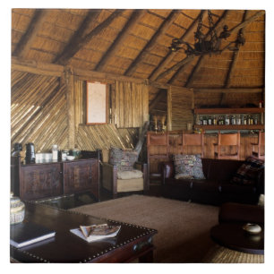 Carreau Zimbabwe, parc national de Hwange, lodge Linkwasha
