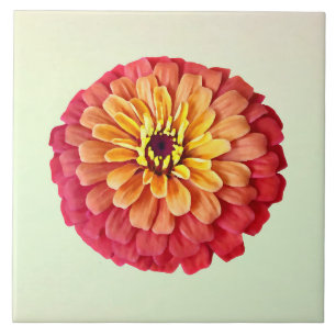 Carreau Zinnia dans les tons d'orange