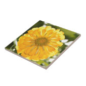 Carreau Zinnia jaune, marguerite jaune, fleur jaune (Côté)