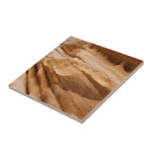 Carreau Zion Canyon Wall II Red Rock Photographie Abstrait (Côté)