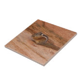 Carreau Zion Chipmunk sur Red Rocks (Côté)