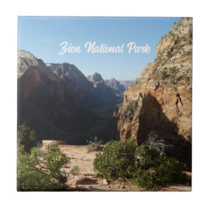 Carreau Zion depuis Angels Landing Trail Parc national de