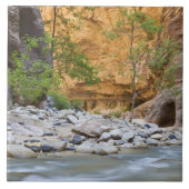 Carreau Zion Narrows (Devant)