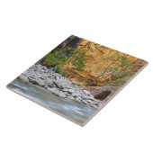 Carreau Zion Narrows (Côté)