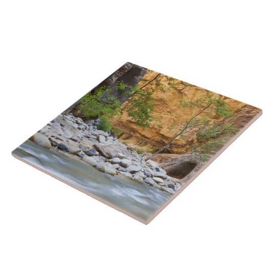 Carreau Zion Narrows (Côté)