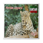 Carreau zIR006 PERSIAN LEOPARD, Iran, Asie, (Devant)