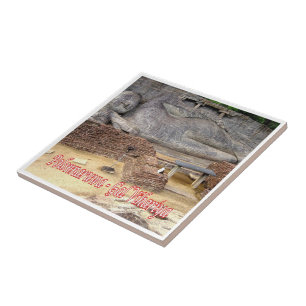 Carreau zLK021 GAL VIHARIYA, Polonnaruwa Sri Lanka,