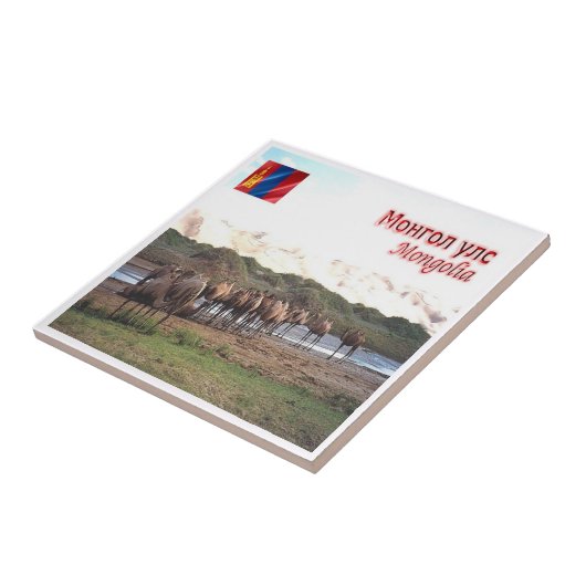 Carreau zMN008 KHONGORYN ELS CAMELS, Mongolie, (Côté)