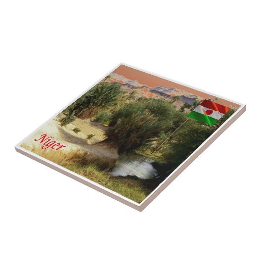 Carreau zNE008 NIGER, Oasis Bilma, Afrique, (Côté)