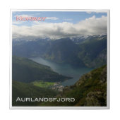 Carreau zNO008 AURLANDSFJORD, Norvège, (Devant)