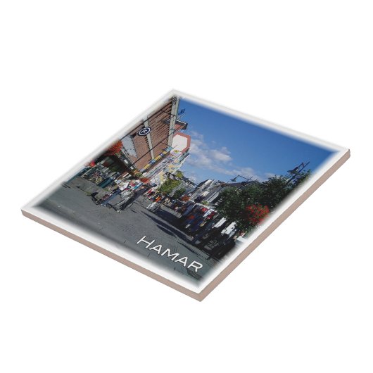 Carreau zNO051 HAMAR, Norvège, Europe, (Côté)