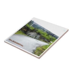 Carreau zNO089 SKJEGGEDAL, Norvège, Europe,