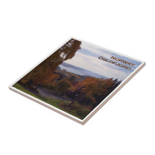 Carreau zNO090 OSLOFJORD vu de Holmenkollen, Norvège,