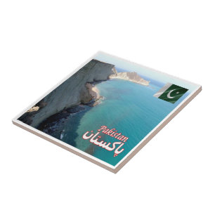 Carreau zPK011 ÎLE D'ASTOLA, Pakistan, Asie, Réfrigérateur