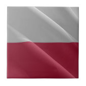Carreau zPL002 POLONAIS agitant FLAG POLAND, Europe, (Devant)