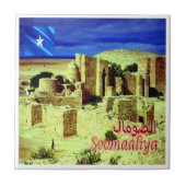 Carreau zSO005 SOMALIE, Château de Taleh, Afrique, (Devant)