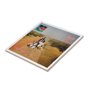 Carreau zSS006 UEO, Soudan du Sud, Afrique,