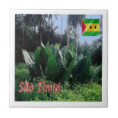 Carreau zST004 SAO TOME, Afrique, (Devant)
