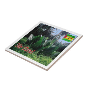 Carreau zST004 SAO TOME, Afrique,