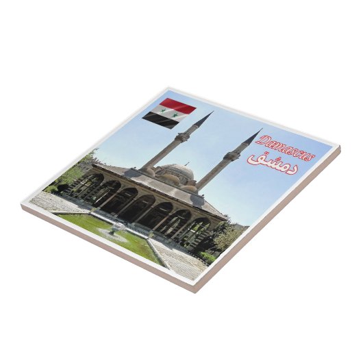 Carreau zSY008 MOSQUÉE TEKKIYE à DAMAS, Syrie, (Côté)