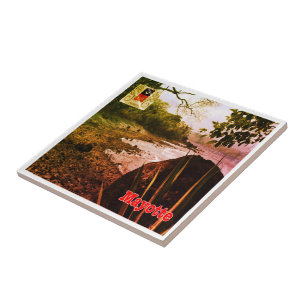 Carreau zT003 MAYOTTE, Beach, Africa,