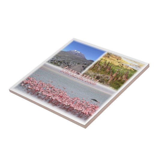 Carreau zTZ019 TANZANIE, Mosaïque, Afrique, (Côté)