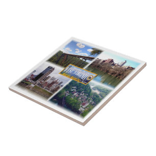 Carreau zUS019 VIRGINIE OCCIDENTALE, Mosaïque, Amérique,