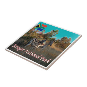 Carreau zZA004 Parc national KRUGEN, Afrique du Sud,