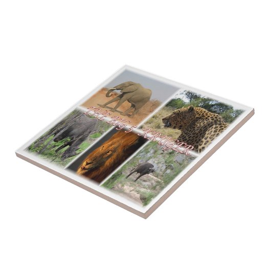 Carreau zZA035 AFRIQUE DU SUD Big 5 In Kruger N.P. (Côté)