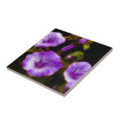 Carreaux (Côté)