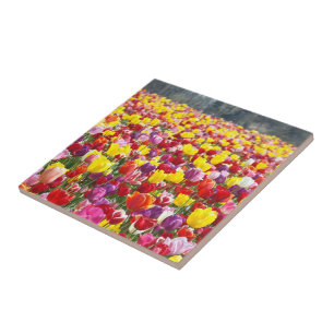 Carreaux Art Plaque de cuisson Carreaux cadeaux Tu