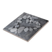 carreaux cailloux galets plage nature océan (Côté)