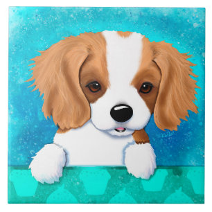 Carreaux Cavalier King Charles Spaniel