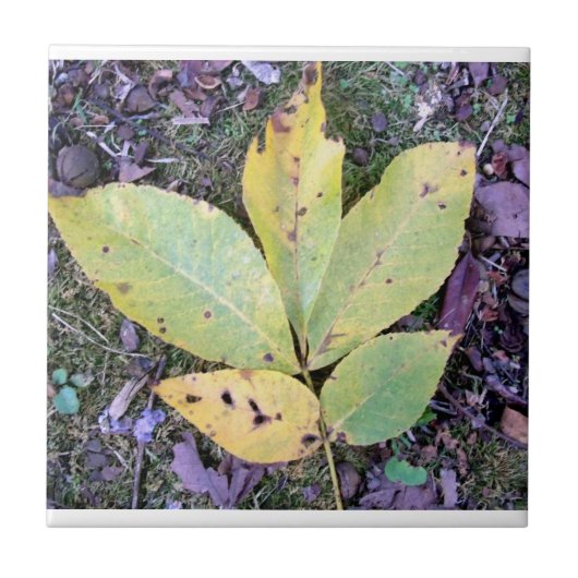 Carreaux céramique de automne (Devant)