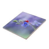 Carreaux céramique LADYBUG (Côté)