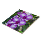 Carreaux céramiques orchidées blanches et violette (Côté)