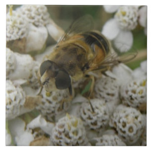 Carreaux d'abeilles et de fleurs
