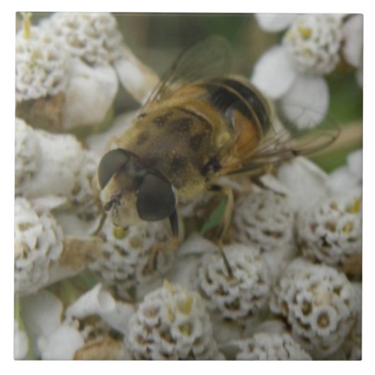 Carreaux d'abeilles et de fleurs (Devant)
