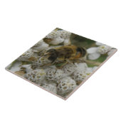 Carreaux d'abeilles et de fleurs (Côté)