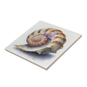 Carreaux d'aquarelle Crowie Conch (Côté)